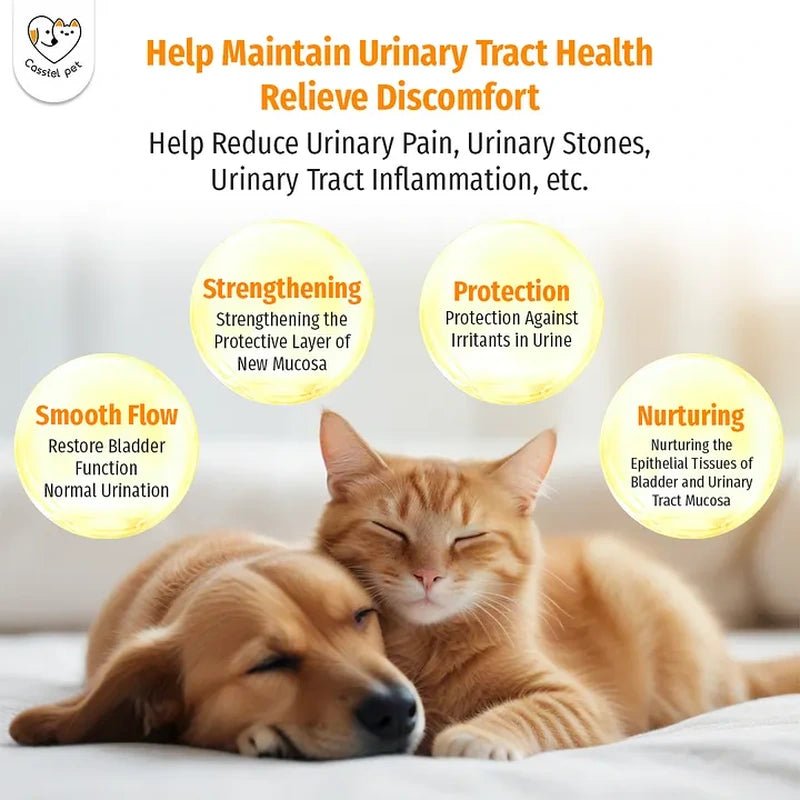 Cassiel Pet urinary tract comfort and bladder support illustration