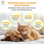 Cassiel Pet urinary tract comfort and bladder support illustration