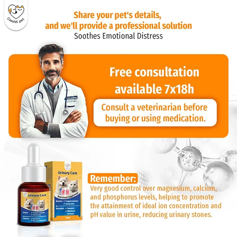 Cassiel Pet veterinary consultation and daily care reminder